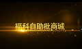 福科软件--耀兴商城案例