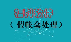 【视频教程】假帐套处理