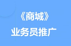 【视频教程】《商城》业务员推广