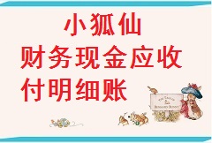 【视频教程】小狐仙-财务现金应收付明细账