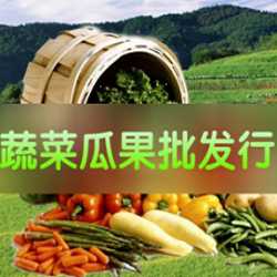 福科软件-蔬菜瓜果批发解决方案